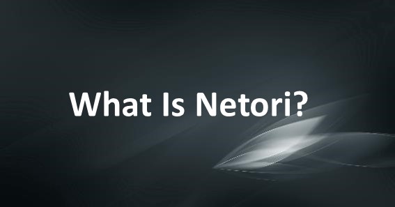 What Is Netori